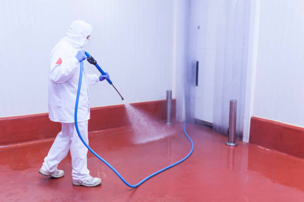 Best Sidewalk and Walkway Cleaning  in Fairwood, MD